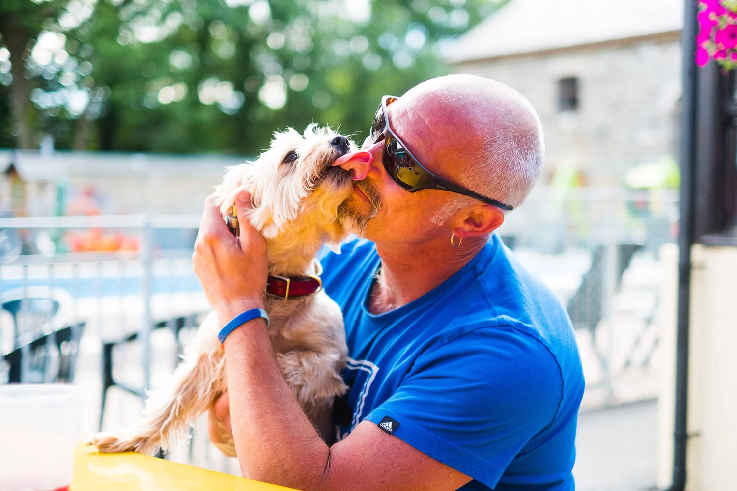 Dog-friendly holiday parks in Wales, a man and his beloved pet
