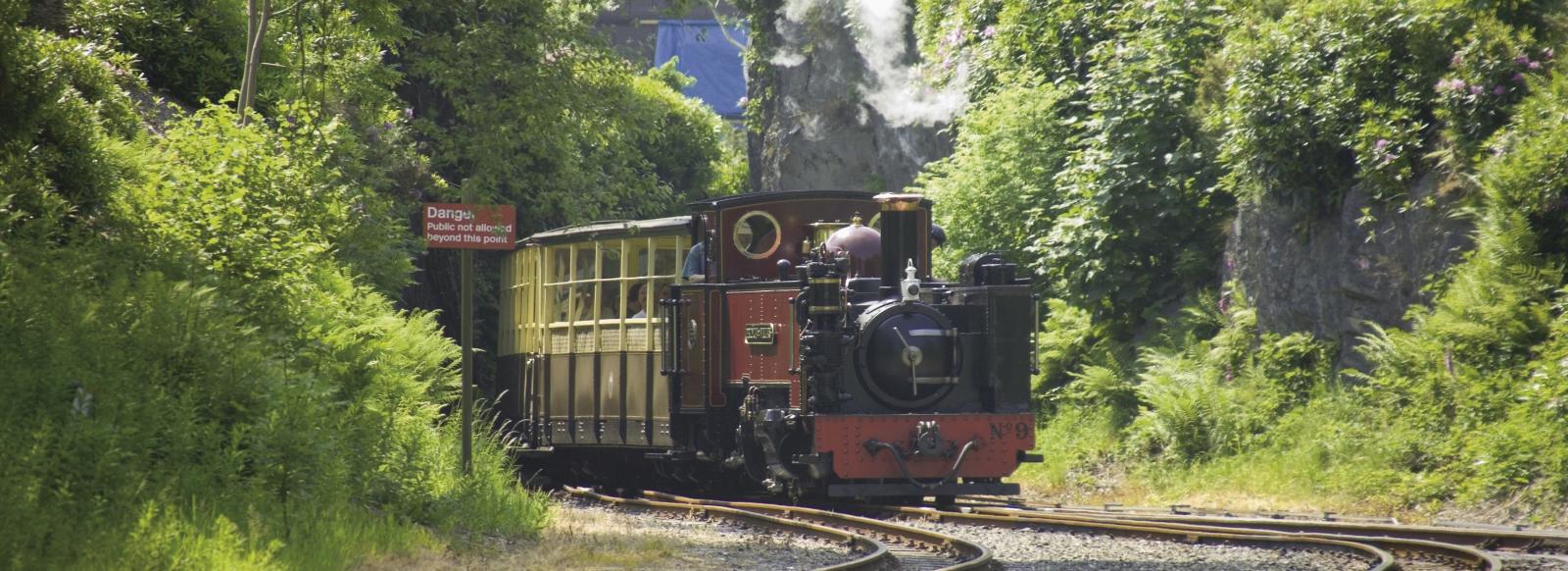The Vale of Rheidol Railway