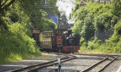 The Vale of Rheidol Railway