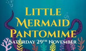 Little Mermaid Pantomime